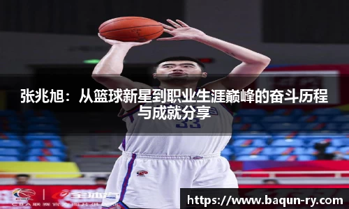 BB贝博